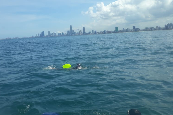 பாக்கு நீரினையை நீந்திக் கடக்க உள்ள திருகோணமலை மாணவன் | Trincomalee Student Who Swam Palk Strait