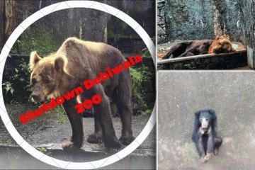 தெகிவளை மிருகக்காட்சி சாலையை மூடுமாறு எழுப்பப்படும் குரல்