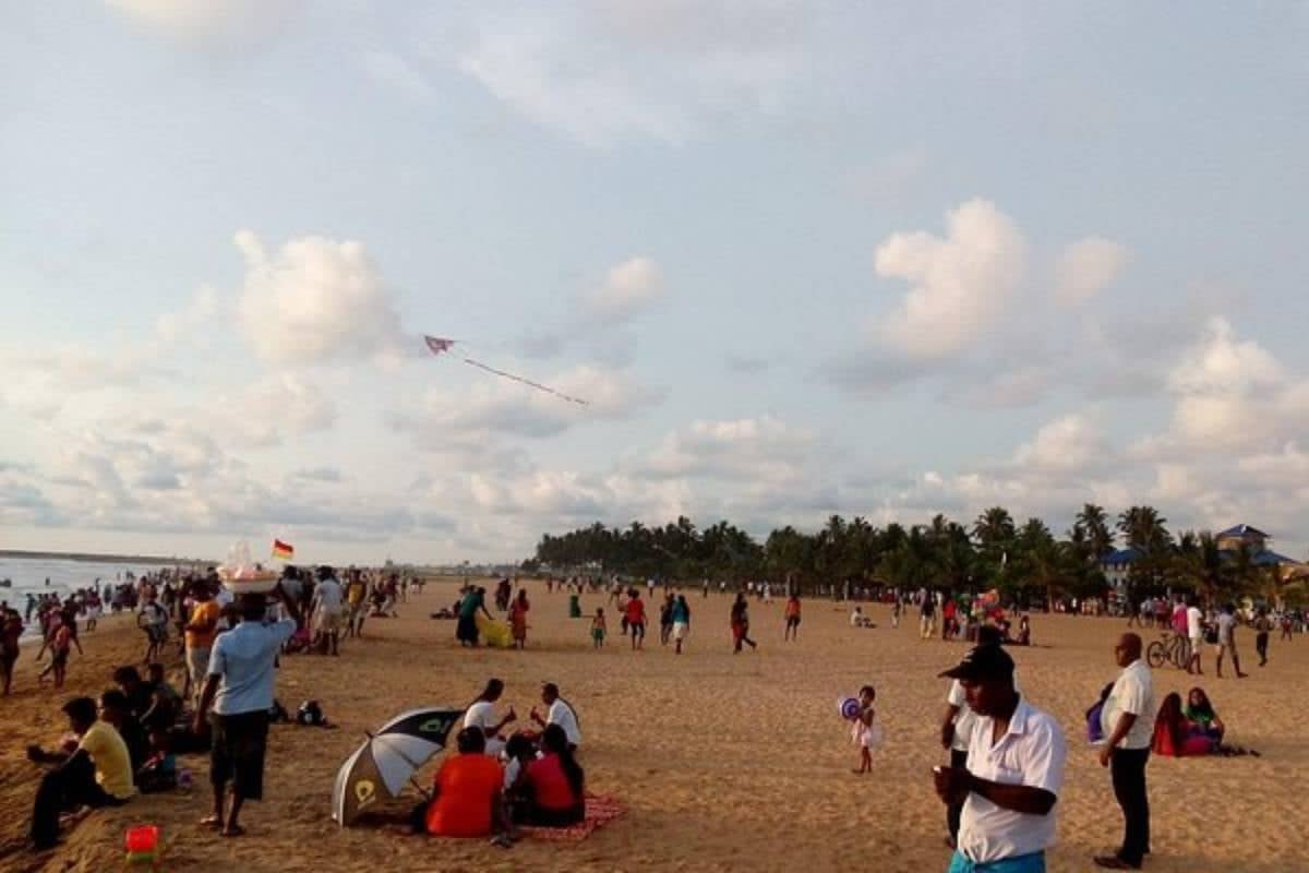 பாணந்துறை கடற்கரையில் குளித்துக் கொண்டிருந்தவர்களுக்கு நேர்ந்த கதி | Jelly Fish Attack In Panadura Sea Area பாணந்துறை கடற்கரையில் குளித்துக் கொண்டிருந்தவர்களுக்கு நேர்ந்த கதி | Jelly Fish Attack In Panadura Sea Area