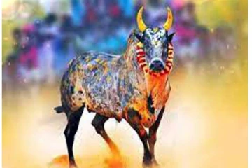 “அனுமதி இல்லாமல் ஜல்லிக்கட்டு நடத்தினால் நடவடிக்கை” - தஞ்சாவூர் ஆட்சியர் எச்சரிக்கை