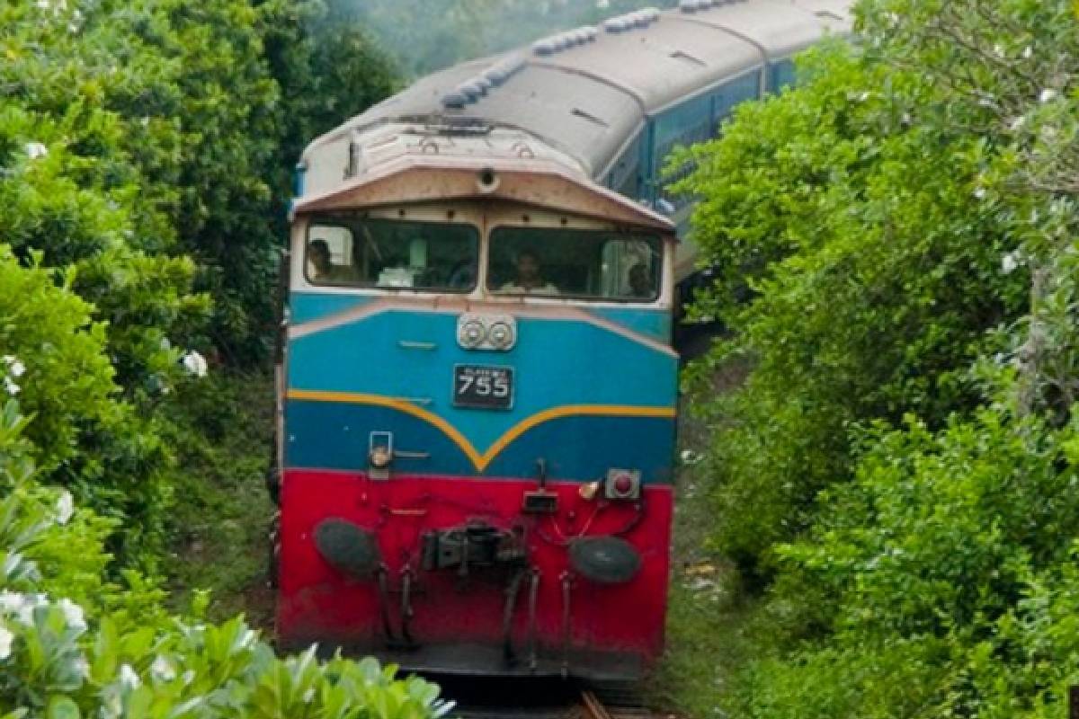 விசேட போக்குவரத்து சேவை : பொதுமக்களுக்காக1,500 மேலதிக பேருந்துகள் | 1500 Extra Buses And Special Trains In Operation