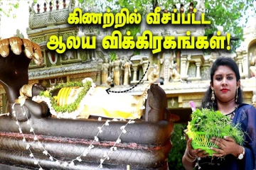 கிணற்றில் வீசப்பட்ட விக்கிரகங்கள்; மீண்டும் உருவெடுத்த விஷ்ணு