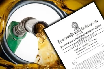 பெட்ரோலியம் உள்ளிட்ட இரு துறைகள் தொடர்பில் வெளியான விசேட வர்த்தமானி அறிவித்தல்