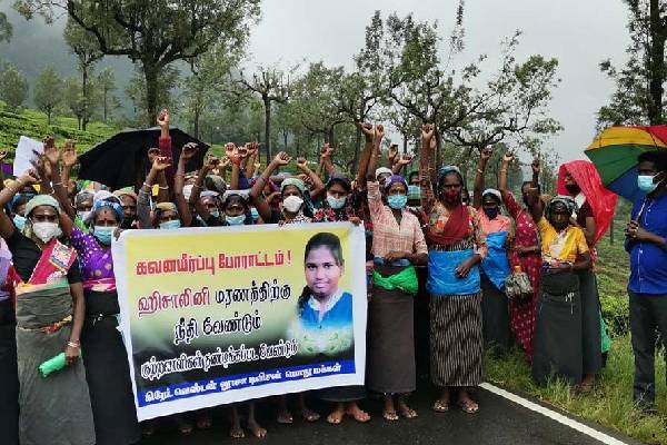 ரிஷாட் பதியுதீன் வீட்டில் உயிரிழந்த ஹிசாலினி விவகாரம்! நீதிமன்றம் பிறப்பித்துள்ள உத்தரவு | Case Of Girl Died In A Fire At Rishads House ரிஷாட் பதியுதீன் வீட்டில் உயிரிழந்த ஹிசாலினி விவகாரம்! நீதிமன்றம் பிறப்பித்துள்ள உத்தரவு | Case Of Girl Died In A Fire At Rishads House