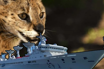 சீன உளவுக் கப்பலும்.. ஆபரேஷன் காட்டுப்பூனையும்!