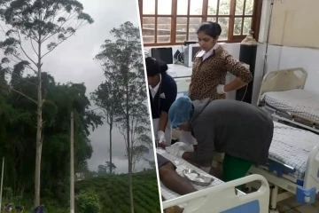 யூகலிப்டஸ் மரத்திலிருந்து தவறி விழுந்தவர் உயிரிழப்பு