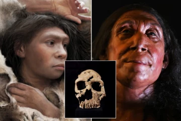 75,000 ஆண்டுகள் முன் இறந்த நியாண்டர்தால் பெண் - அப்படியே மீண்டும் வந்த அதிசயம்!