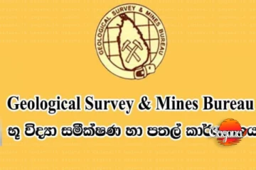 මෙන්න මේ බලපත්‍ර නිකුත් කිරීම තාවකාලිකව අත්හිටුවයි
