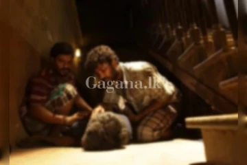 පෙම්වතිය බැලීමට ගිය තරුණයාට හීනෙකින්වත් නොසිතන ඇබැද්දියක් වෙලා..