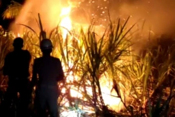 குப்பைக்கு மூட்டிய தீக்குள் விழுந்து குடும்பப் பெண் பரிதாப மரணம்! யாழில் சம்பவம்