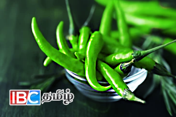 மரக்கறிகள் இறக்குமதியா....! உச்சம் தொட்ட பச்சை மிளகாயின் விலை | Todays Vegetable Prices In Sri Lanka