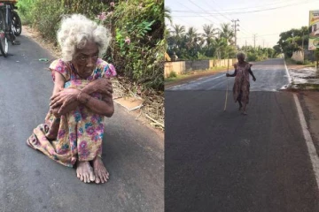 யாழில் வயோதிபத்தாய்க்கு ஏற்பட்ட பரிதாப நிலை...