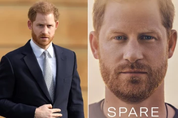 25 தலிபான் பயங்கரவாதிகளை கொன்ற இளவரசர் ஹாரி!