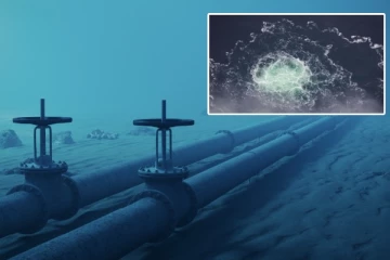 திணறிய ஐரோப்பிய நாடுகள்..! சதியின் பின்னணியில் உக்ரைன்: புதிய பகீர் அறிக்கை