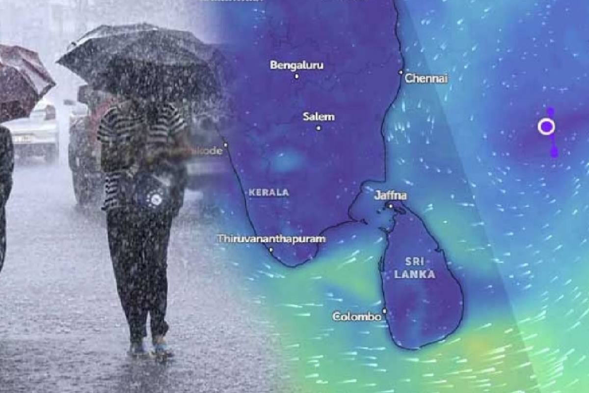 நாட்டில் 100 மில்லிமீற்றர் அளவில் கனமழை ; மீனவர்களுக்கு விசேட எச்சரிக்கை | Heavy Rain 100 Mm In The Country Warning Fishermen நாட்டில் 100 மில்லிமீற்றர் அளவில் கனமழை ; மீனவர்களுக்கு விசேட எச்சரிக்கை | Heavy Rain 100 Mm In The Country Warning Fishermen
