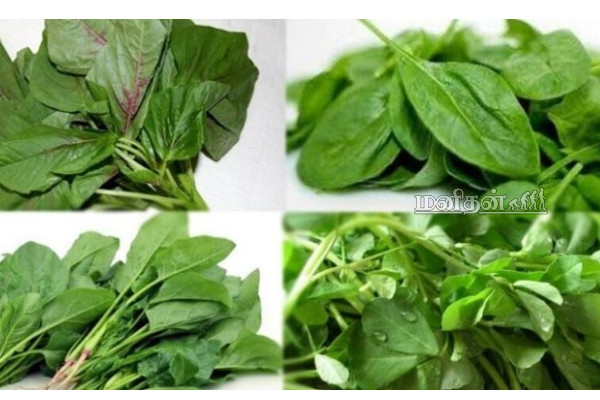 மீனா கணவர் உயிரைப் பறித்த நுரையீரல் தொற்று! நுரையீரலை பாதுகாக்க எந்தெந்த உணவு உட்கொள்ள வேண்டும்? | Actress Meena Husband Death Lungs Safe Food Tamil