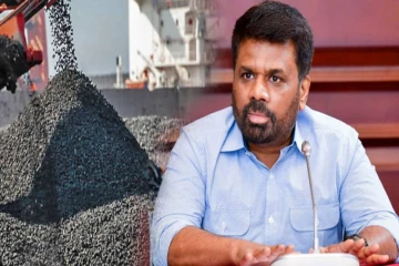 நிலக்கரி மோசடி தொடர்பில் தீவிரப்படுத்தப்படும் விசாரணை - ஜனாதிபதியின் முதற்கட்ட நகர்வு