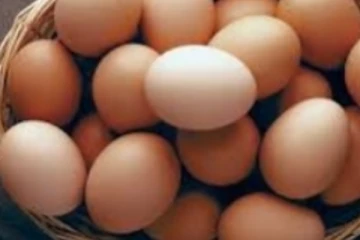 බිත්තර මිල යළිත් ඉහළට..?