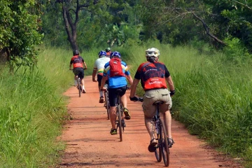 இலங்கைக்கு சுற்றுலா வந்த பிரித்தானிய பெண்ணுக்கு நேர்ந்த துயரம்