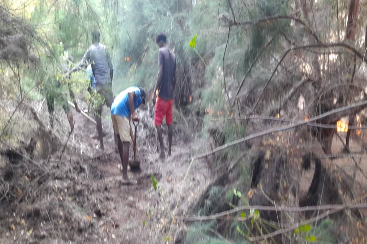 வடமராட்சி கிழக்கு மணல்காடு சவுக்கம் காட்டில் தீ பரவல்: கட்டுப்படுத்த அவசர நடவடிக்கை | Fire Spreads Manalkadu Soukkam Forest