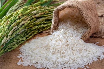 அரிசியை இறக்குமதி செய்யுமாறு வர்த்தக அமைச்சுக்கு வலியுறுத்து