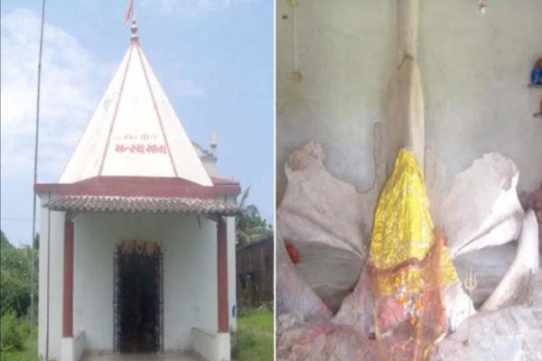 திமிங்கலத்தை தெய்வமாக வணங்கும் மக்கள்: பின்னணியில் பகீர் காரணம் | Whale Fish 300 Years Worshiped Temple India