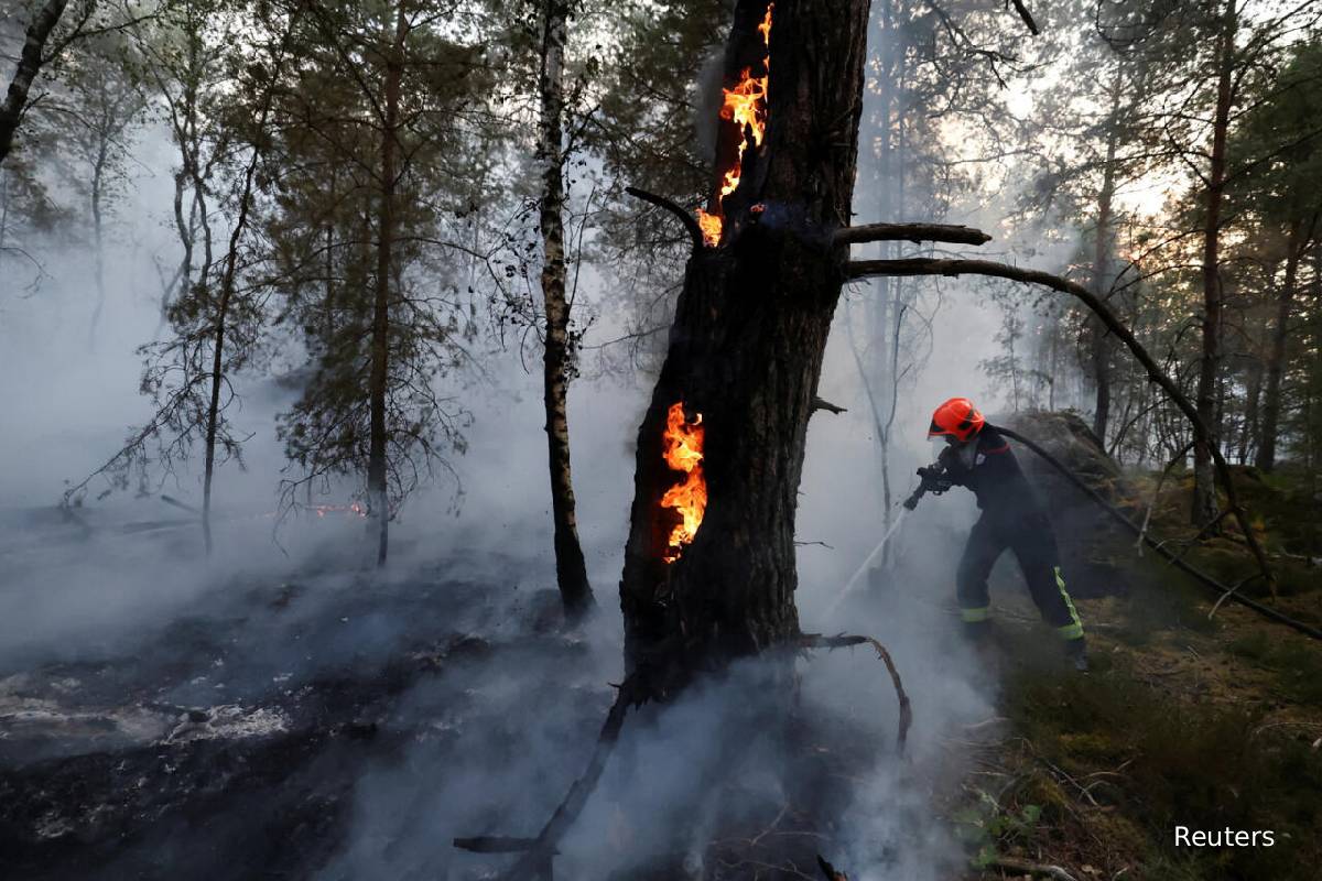 பிரான்ஸ் காட்டுத்தீ... தீவைத்த தீயணைப்பு வீரர்: திடுக் தகவல் | Volunteer Firefighter Behind Fontainebleau Fire பிரான்ஸ் காட்டுத்தீ... தீவைத்த தீயணைப்பு வீரர்: திடுக் தகவல் | Volunteer Firefighter Behind Fontainebleau Fire