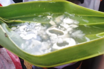 வியக்க வைத்த தமிழர்கள்.... ஏன் பதனீரை தினமும் குடிக்க வேண்டும் தெரியுமா?