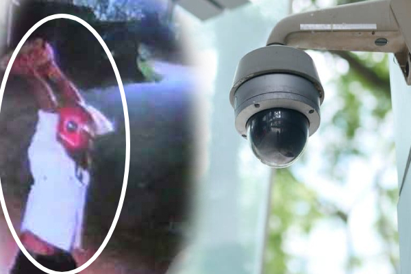 பிரதேசசபை பெண் உறுப்பினர் வீட்டின் மீது தாக்குதல் | Urban Council Female Member S House Attacked