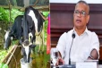 பண்ணையாளர்களின் பிரச்சினைகளுக்கு தீர்வு - பாலின் தரத்தை உயர்த்த அறிமுகப்படுத்தும் புதிய நடைமுறை