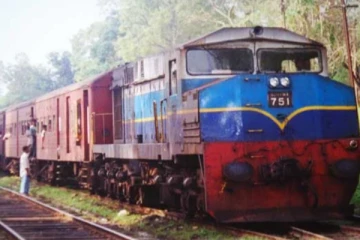 பாதைகளில் யானை விபத்துக்களை தடுக்க விசேட நடவடிக்கை