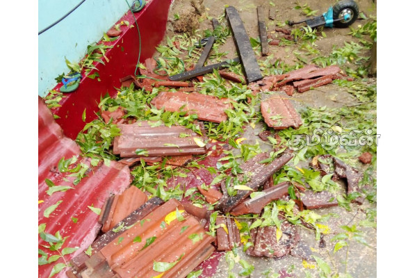 யாழில் நிலவும் சீரற்ற காலநிலை காரணமாக பலர் பாதிப்பு! | 14 People Affected In Jaffna Due To Windy Rain
