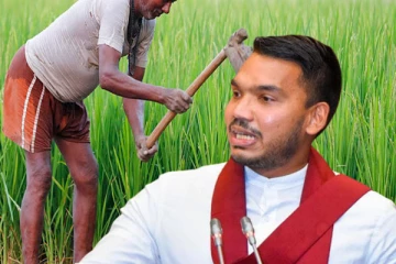 விவசாயிகளுக்கு நிவாரணம் வழங்குவது தொடர்பில் நாமல் விடுத்துள்ள பகிரங்க அறிவிப்பு