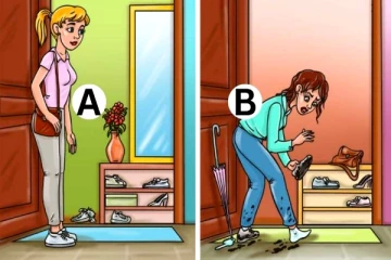 IQ Test: யார் வீட்டில் நாய் இருக்கு? புதிரை 5 வினாடிகளில் தீர்ப்பவர் ஞானி