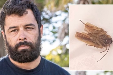 காதுக்குள் கேட்ட விசித்திர சத்தம்! மருத்துவ பரிசோதனையில் காத்திருந்த அதிர்ச்சி