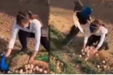 முட்டையை திருடிய பெண்... மயில் கொடுத்த தண்டனையைப் பாருங்க