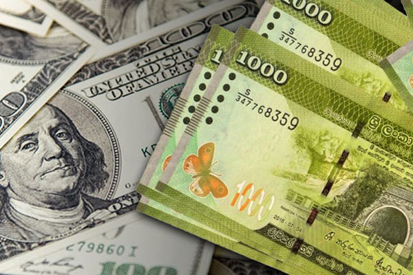 டொலருக்கு நிகரான ரூபாவின் பெறுமதி | The Value Of The Rupee Against The Dollar