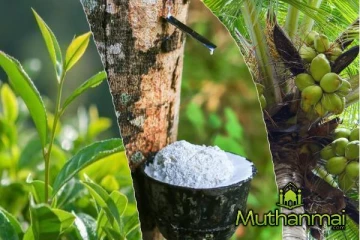 வீழ்ச்சியடையும் பிரதான ஏற்றுமதி பயிர்களின் உற்பத்தி..!