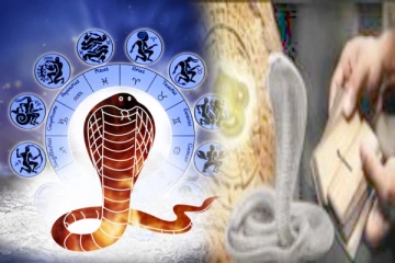 உங்களுக்கு நாக தோஷம் இருந்தால் என்னென்ன அறிகுறிகள் காட்டும் தெரியுமா?