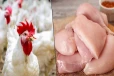 நிந்தவூரில் நடைமுறைக்கு வரும் புதிய தீர்மானம் - கோழிக்கடை உரிமையாளர்களுக்கு கடும் எச்சரிக்கை