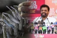 ஜனாதிபதி தேர்தலில் வெற்றியை கொண்டாட தயாராகும் அநுர