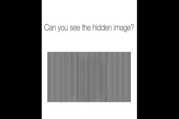 இந்த ஒளியியல் மாயையில் கறுப்பு சதுரத்தினுள் என்ன மிருகம் இருக்கிறது? | Viral Optical Illusion What Animal Can You See It