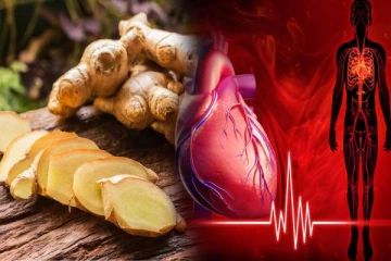 இந்த பிரச்சினை இருக்கா? அப்போ இஞ்சியை தவறியும் சாப்பிடாதீர்கள் ஆபத்து நிச்சயம்