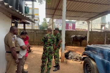 வவுனியாவில் விசேட அதிரடிப்படையினரால் மூவர் கைது