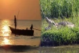 மீன்பிடிக்கச் சென்ற இருவர் மீது முதலை தாக்குதல் ; பரிதாகமாக ஒருவர் உயிரிழப்பு