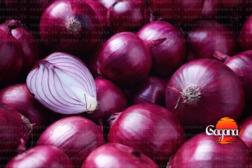 අපරාදේ කුණු කොල්ලේට යන ලූණු