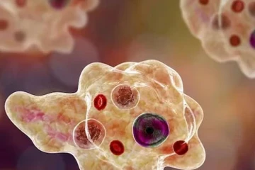 2 வயது சிறுவனின் மூளையை தாக்கிய அமீபா