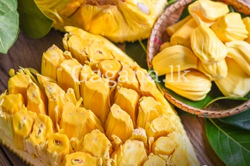 වඳ බව දුරු කරන - බත් ගසේ ගෙඩි වලින් ඔබට ලැබෙන විස්මයජනක ප්‍රතිලාභ. (VIDEO)