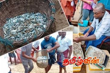 அம்பாறை கடற்றொழிலாளர்களுக்கு கிடைத்த அதிர்ஸ்டம்..