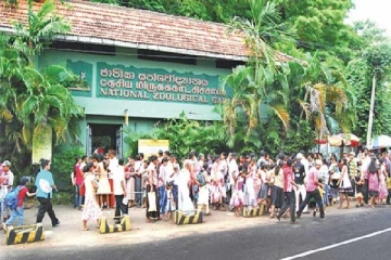சிறுவர்கள் மற்றும் முதியோர்களுக்கு மகிழ்ச்சியான செய்தி